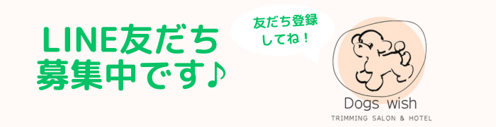 lineともだち募集中です♪