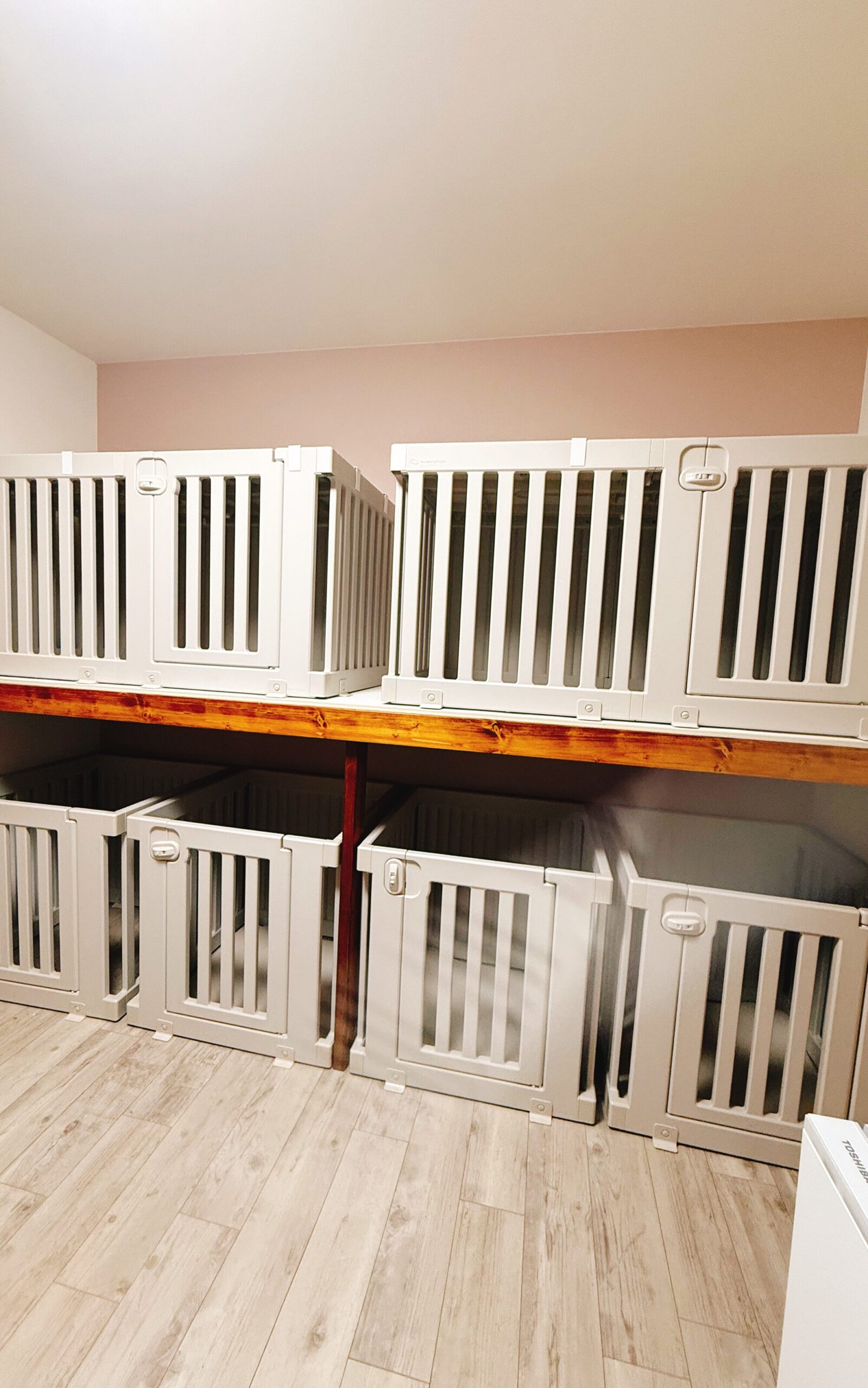 ペットホテルのお部屋のイメージ　ケージが並んでいる